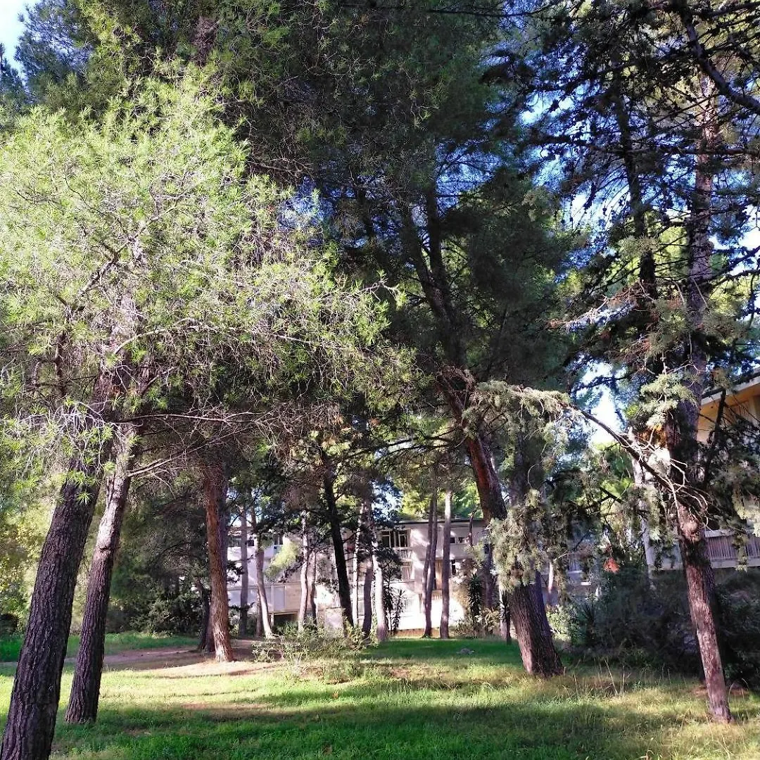 Ferienwohnung Cigalou Sous Les Pins Marseilles Frankreich