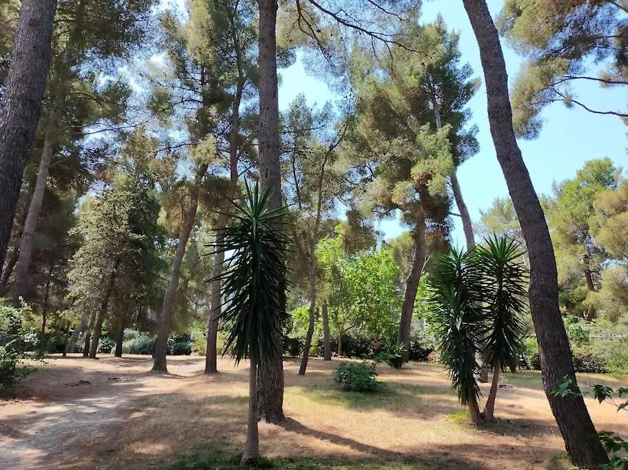 Apartament Cigalou Sous Les Pins Marsylia