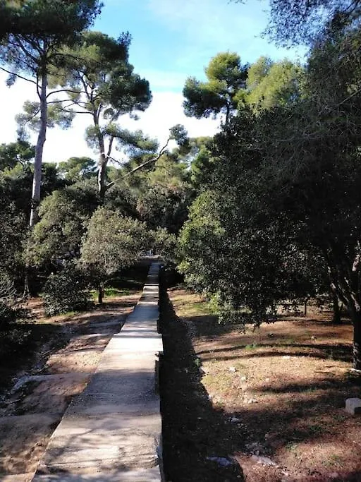 Apartament Cigalou Sous Les Pins Marsylia Francja