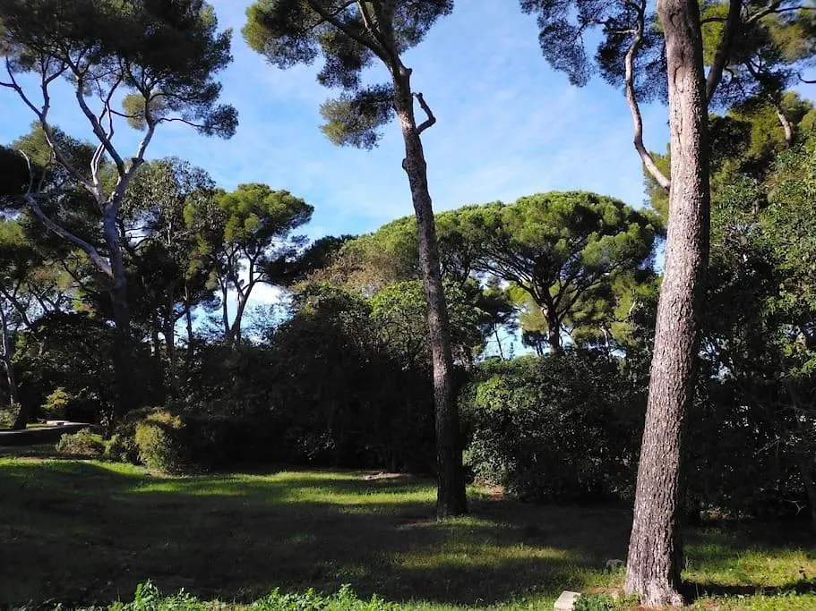 Apartament Cigalou Sous Les Pins Marsylia