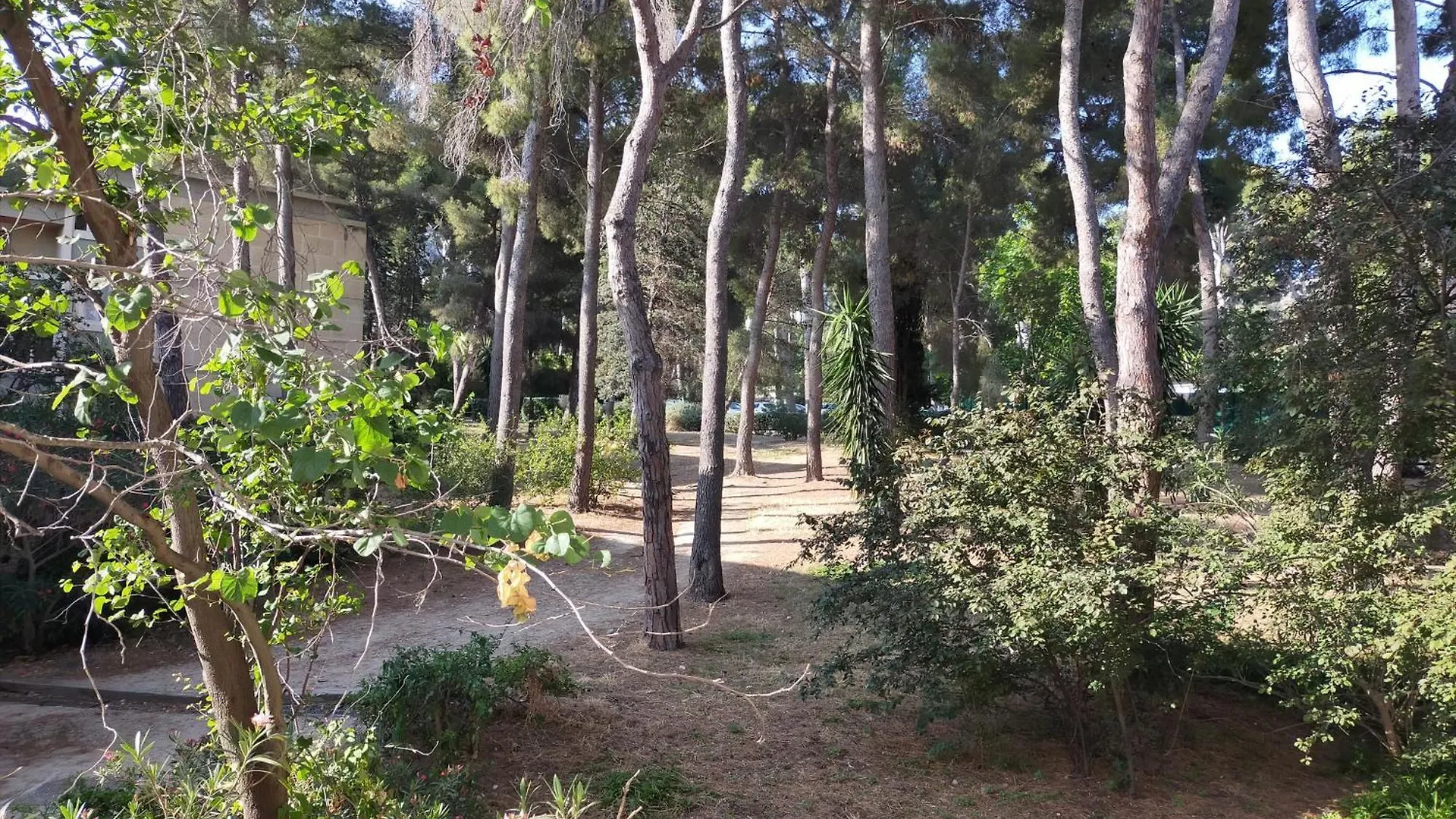 Apartament Cigalou Sous Les Pins Marsylia